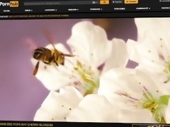 Pornhub Cares Presents: Beesexual