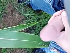 Walking in the fresh air, getting excited and jerking off on a corn leaf